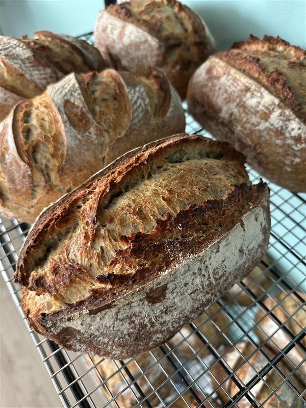 Italian Herb and Parmesan Sourdough Bread