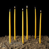 Beeswax Taper Candles