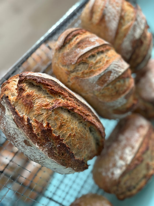 Italian Herb and Parmesan Sourdough Bread